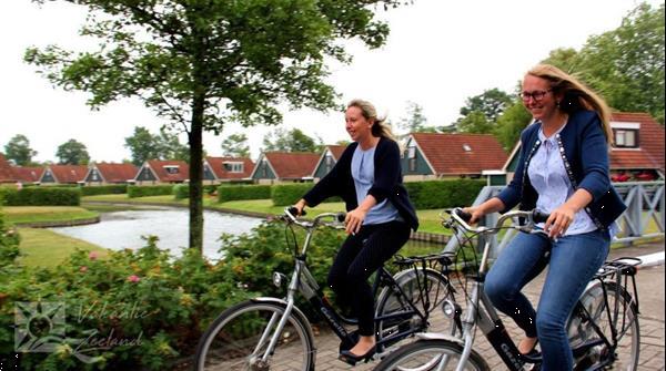 Grote foto 6 persoons vrijstaande bungalow heinkeszand vakantie nederland zuid