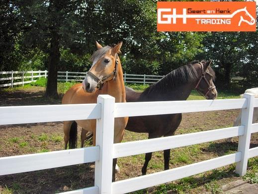 Grote foto rijbak bak kunststof paardenbak omheining dieren en toebehoren overige toebehoren