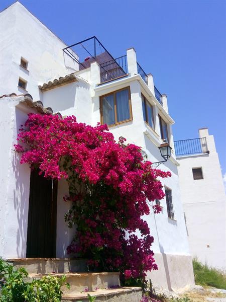 Grote foto casa rural granada andalusi plonsbad dakterras vakantie spanje