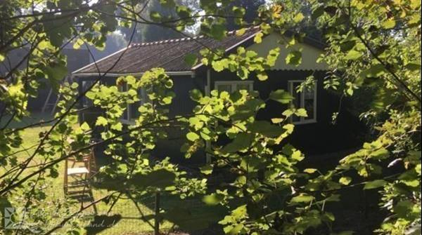 Grote foto knus 5 persoons vakantiehuis in burgh haamstede op 1500 mete vakantie nederland zuid