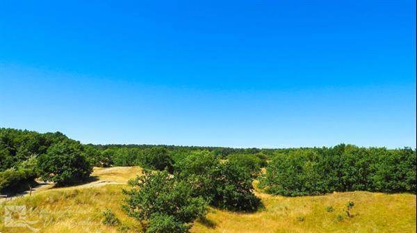 Grote foto 5 persoons vakantiehuis te burgh haamstede vakantie nederland zuid