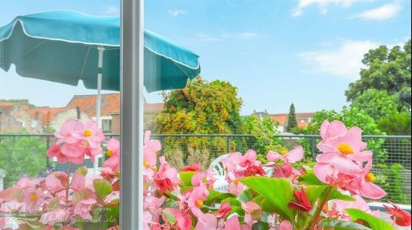 Grote foto luxe 4 persoons vakantiehuis in het centrum van colijnsplaat vakantie nederland zuid