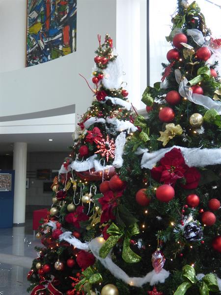 Grote foto kerstbomen voor bureau en kantoor huis en inrichting bureaus