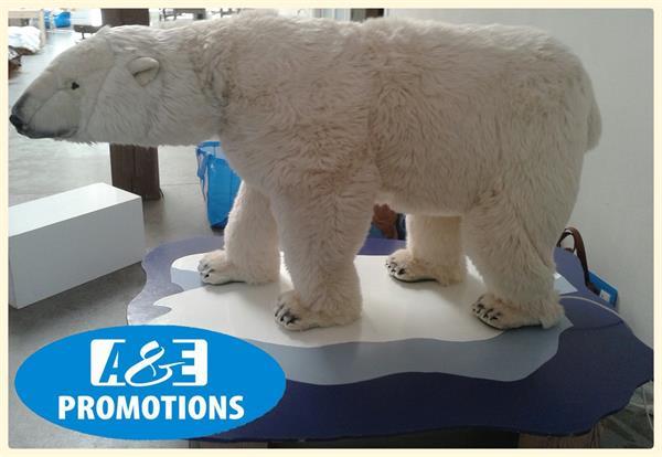 Grote foto winterfiguren ijsbeer eatlering verhuur rotterdam zakelijke goederen etalagepoppen en etalagefiguren