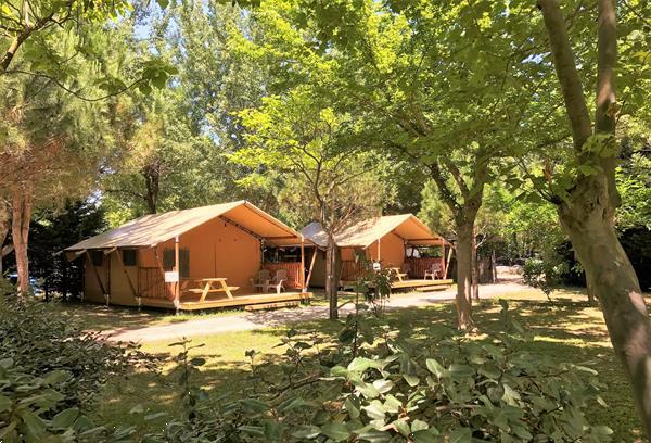 Grote foto safari tengen glamping argeles sur mer vakantie frankrijk