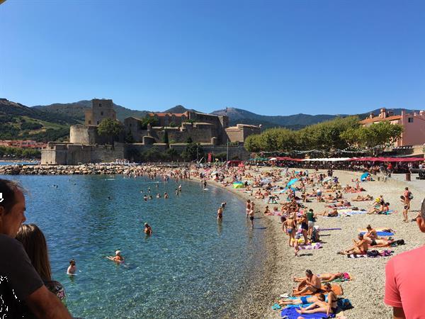 Grote foto safari tengen glamping argeles sur mer vakantie frankrijk