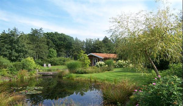 Grote foto romantisch luxe huisje rust bos jacuzzi optie vakantie nederland noord