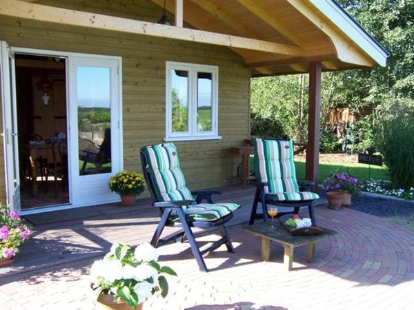 Grote foto romantisch luxe huisje rust bos jacuzzi optie vakantie nederland noord