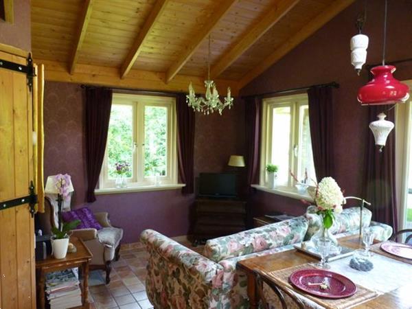 Grote foto romantisch luxe huisje rust bos jacuzzi optie vakantie nederland noord