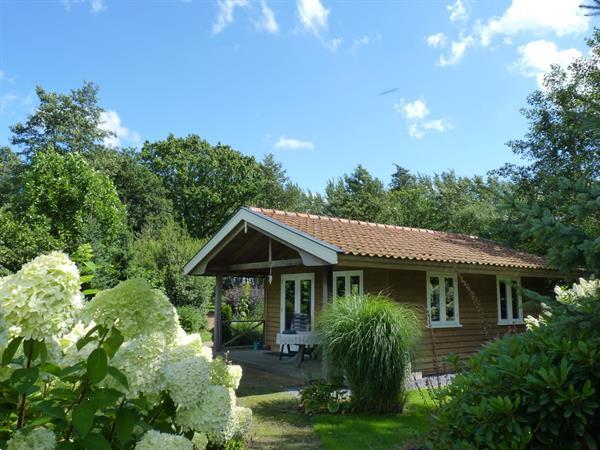 Grote foto romantisch luxe huisje rust bos jacuzzi optie vakantie nederland noord