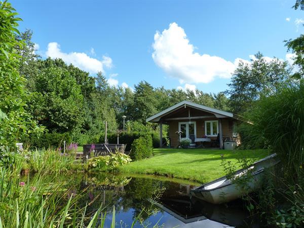 Grote foto romantisch luxe huisje rust bos jacuzzi optie vakantie nederland noord