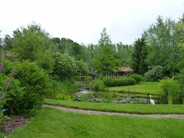 Grote foto romantisch luxe huisje rust bos jacuzzi optie vakantie nederland noord