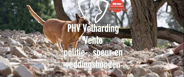 Grote foto phv volharding speurders club venlo nl dieren en toebehoren herdershonden en veedrijvers