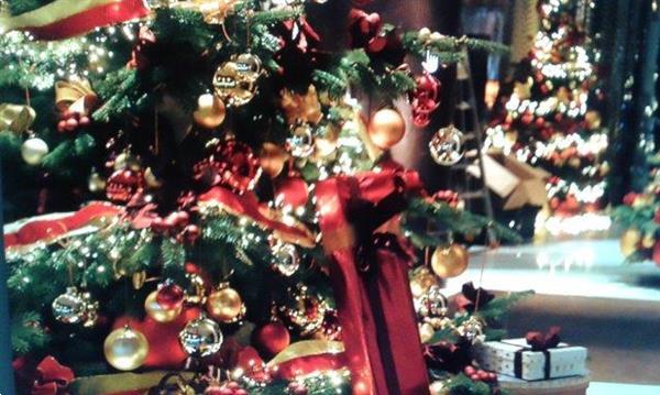 Grote foto feestelijk versierde kerstbomen bij u geleverd diensten en vakmensen abraham