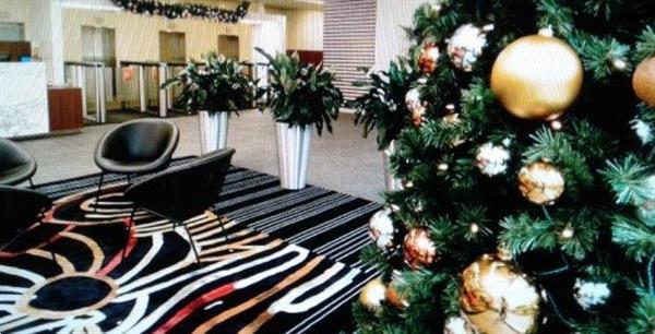 Grote foto feestelijk versierde kerstbomen bij u geleverd diensten en vakmensen abraham