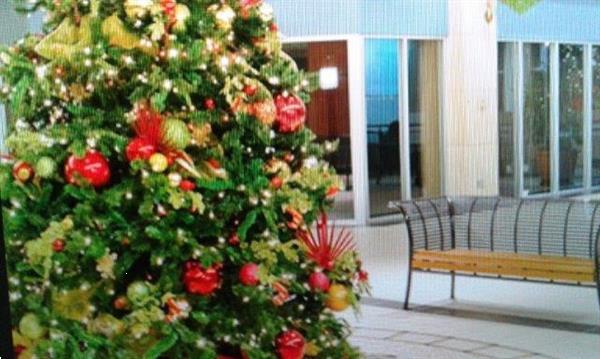 Grote foto verhuur kerstbomen met versiering voor bedrijven diensten en vakmensen bedrijfsuitjes
