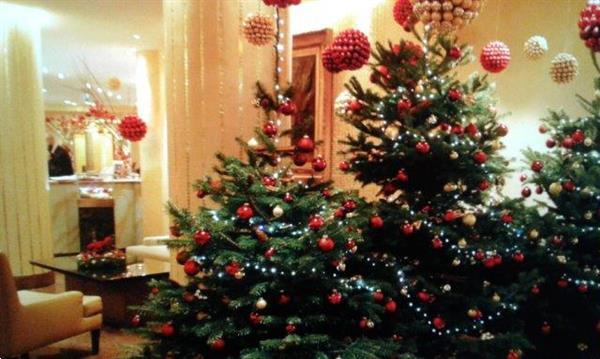 Grote foto wij leveren kerstbomen met versiering voor feest diensten en vakmensen catering