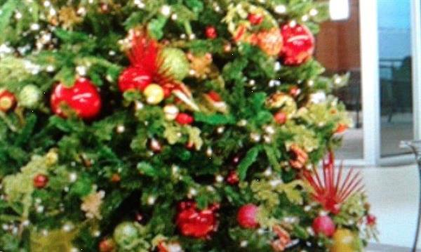 Grote foto wij leveren kerstbomen met versiering voor feest diensten en vakmensen catering