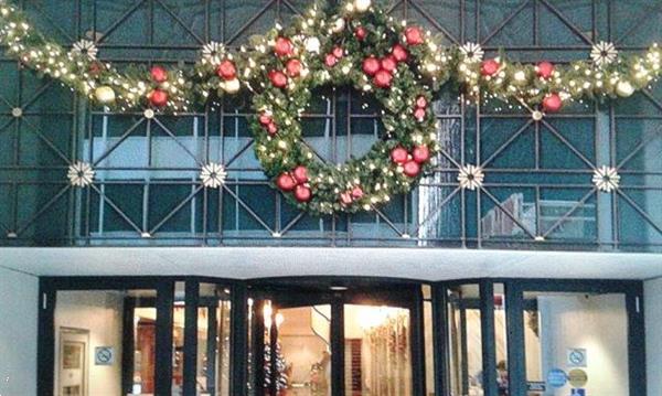 Grote foto huur kerstbomen bij u geleverd nordmann... diensten en vakmensen feesten