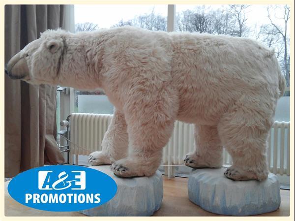 Grote foto grote ijsbeer ijsschotsen 3d verhuur amsterdam diversen versiering
