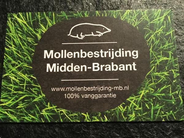 Grote foto mollenbestrijding tuin en terras gras en kunstgras