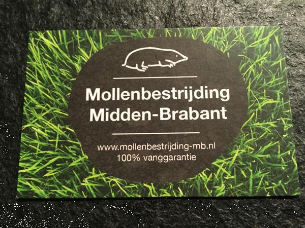 Grote foto mollenbestrijding tuin en terras gras en kunstgras