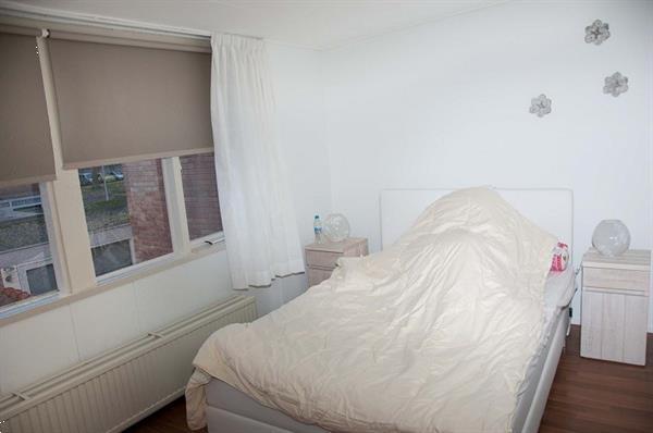 Grote foto eengezinswoning te huur schiphollaan tilburg huizen en kamers eengezinswoningen