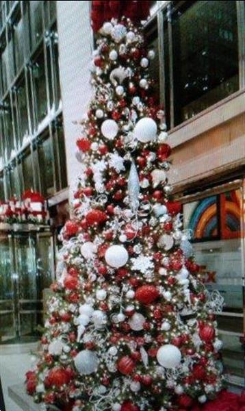 Grote foto levering kerstbomen afbeeldingen huur kerstboom diversen kerst
