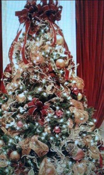 Grote foto levering kerstbomen afbeeldingen huur kerstboom diversen kerst