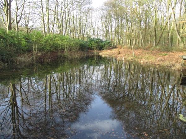 Grote foto te huur omgeving friesland groningen en drenthe. recreatiewo caravans en kamperen overige caravans en kamperen