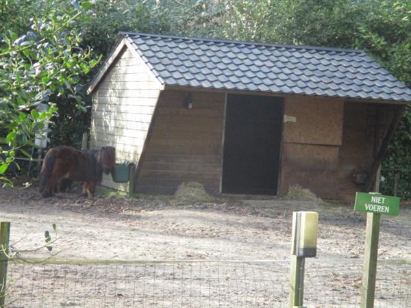 Grote foto te huur omgeving friesland groningen en drenthe. recreatiewo caravans en kamperen overige caravans en kamperen