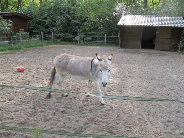 Grote foto recreatiepark op de grens van friesland groningen en drenthe vakantie campings