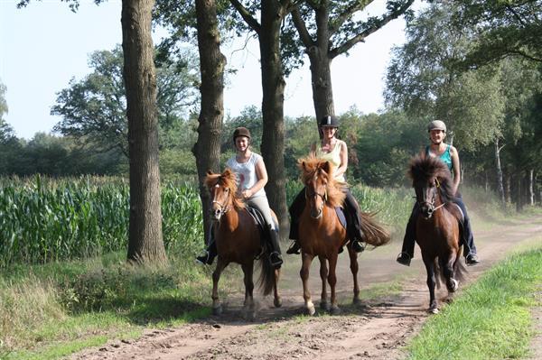 Grote foto glamping safaritent met badkamer in duitsland vakantie duitsland west