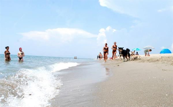 Grote foto toscane chalet aan zee camping itali vakantie autovakanties