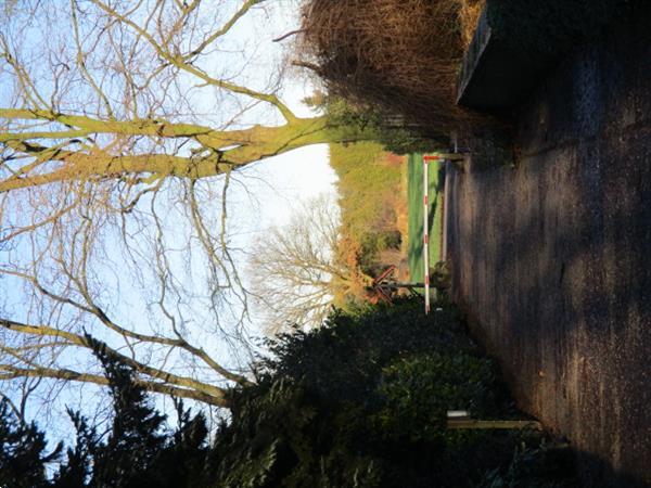 Grote foto grote gemeubileerde chalet te huur in bosrijke omgeving.idea huizen en kamers recreatiewoningen