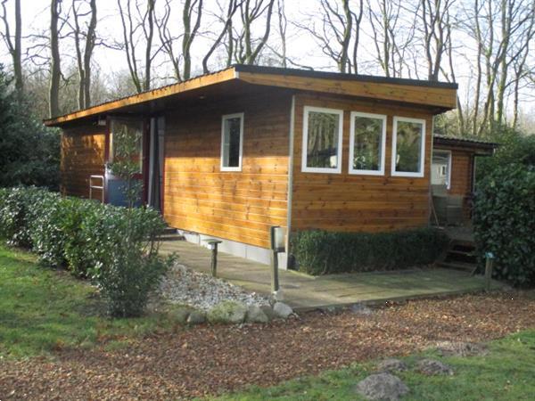 Grote foto camping friesland a7 verhuur van ruim opgezette bungalows c vakantie nederland noord