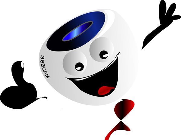 Grote foto bewakingscamera set donker antraciet. nieuw audio tv en foto videobewakingsapparatuur