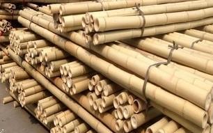 Grote foto bamboepalen bamboestokken te koop tuin en terras tuinhout en palen