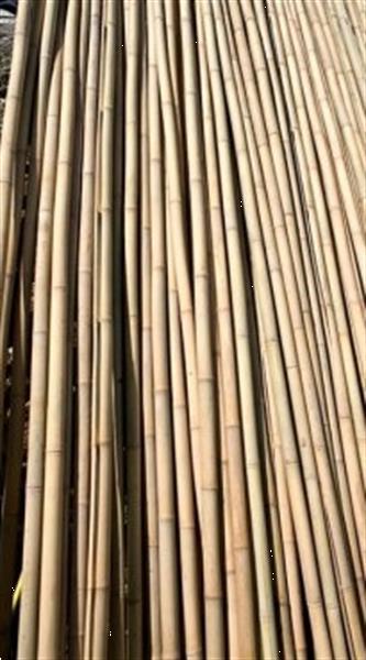 Grote foto bamboepalen bamboestokken te koop tuin en terras tuinhout en palen