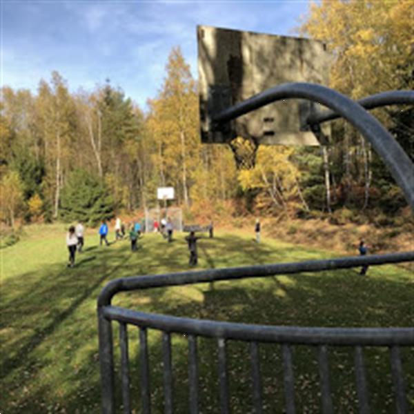 Grote foto groepsaccommmodatie overdekt zwembad sauna jacuzzi vakantie belgi