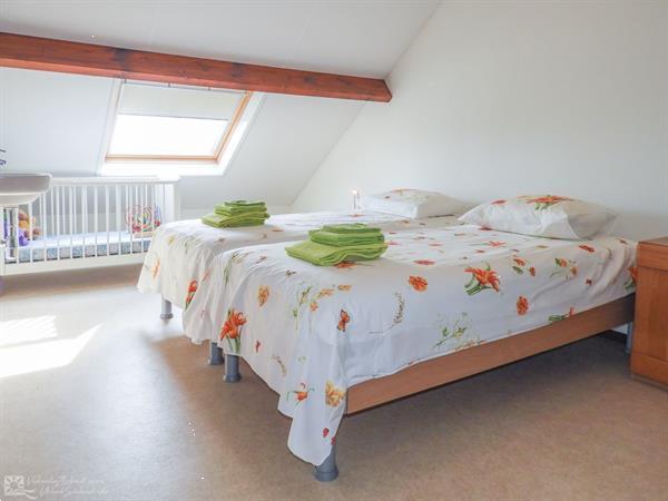 Grote foto luxe 18 persoons groepsaccommodatie in kattendijke omringd d vakantie nederland zuid