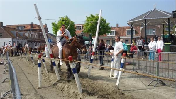 Grote foto knusse 4 6 persoons vakantiechalet in koudekerke op kindvrie vakantie nederland zuid