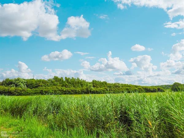 Grote foto 18 persoons groepsaccommodatie 1 aan zee te huur in westkape vakantie nederland zuid