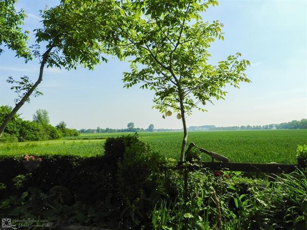 Grote foto 2 persoons studio in koudekerke op loopafstand van het stran vakantie nederland zuid