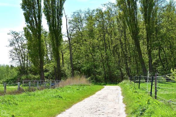 Grote foto knus 2 persoons vakantieappartement op zeer rustige locatie vakantie nederland zuid