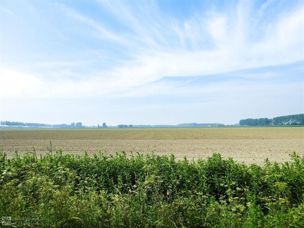 Grote foto 4 persoons vakantiewoning aan het veerse meer in kamperland vakantie nederland zuid