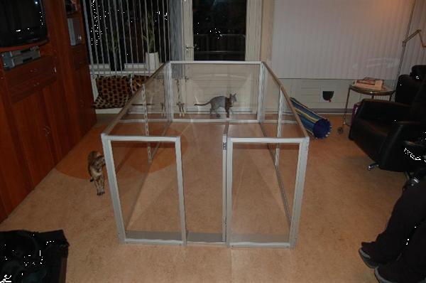 Grote foto kittenren kittenhome kittenuitloop dieren en toebehoren kattenmanden