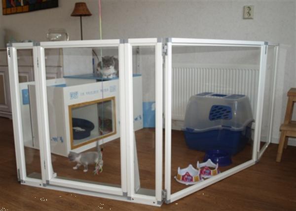 Grote foto kittenren kittenhome kittenuitloop dieren en toebehoren kattenmanden
