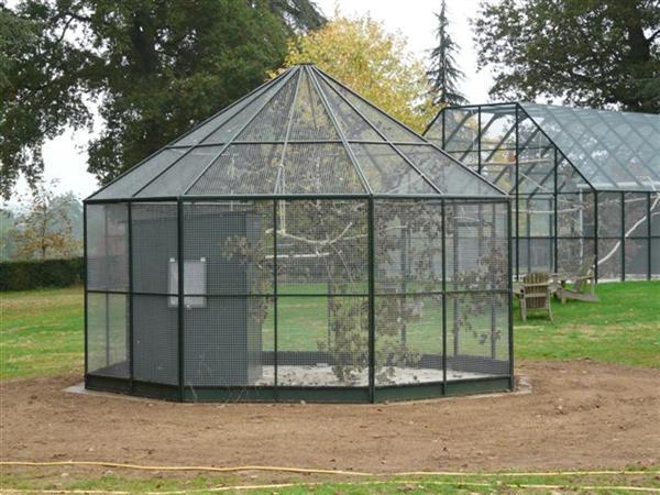 Grote foto voliere volierebouw tuin en terras overige tuin en terras