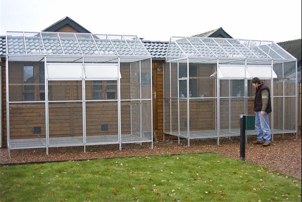 Grote foto duivenren spoetnik dieren en toebehoren overige dierverblijven